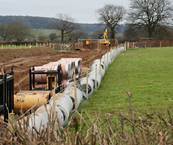 Welsh single farm payment entitlements